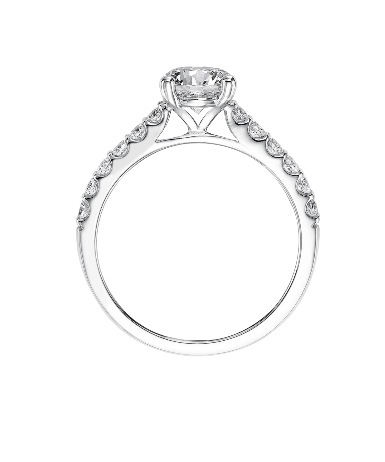 Anillo Venecia